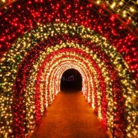 Candy Cane Tunnel